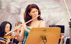 6_250x154_crop_478b24840a