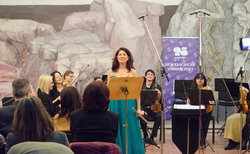 7_250x154_crop_478b24840a