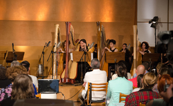 dsc-0014_250x154_crop_478b24840a