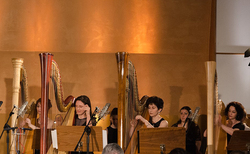 arfata_250x154_crop_478b24840a