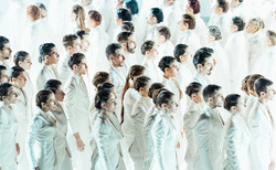 raina-2_250x154_crop_478b24840a