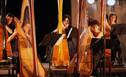 img-4894_250x154_crop_478b24840a