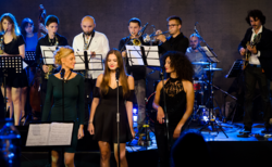 dsc-0026-copy-678x410-crop-478b24840a_250x154_crop_478b24840a