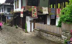 62165891-316790812562481-7752346429464510464-n_250x154_crop_478b24840a