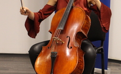 z09_250x154_crop_478b24840a