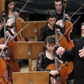 sholo_280x280_crop_478b24840a