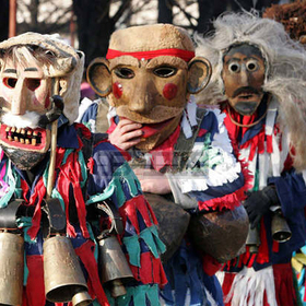 survapernik_280x280_crop_478b24840a