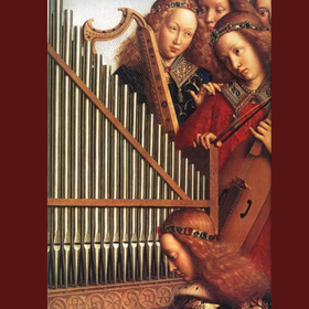 organov_280x280_crop_478b24840a