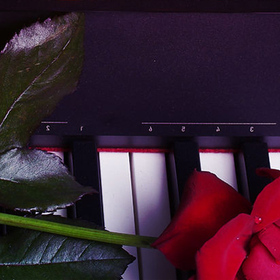 zapocva-14-2-impressio-dir-bg_280x280_crop_478b24840a