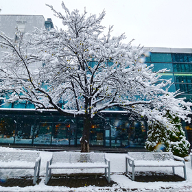 p1200402-copy_280x280_crop_478b24840a