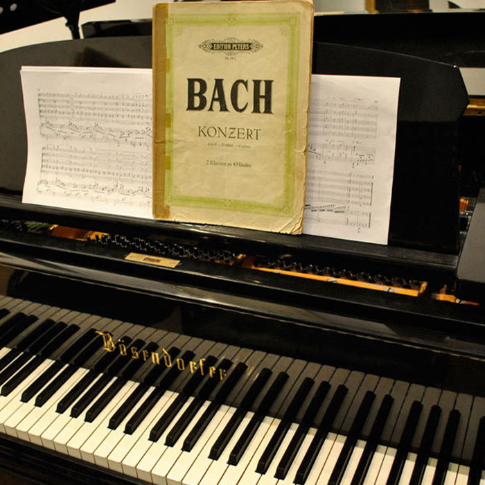 dsc0001-3-copy_700x700_crop_478b24840a