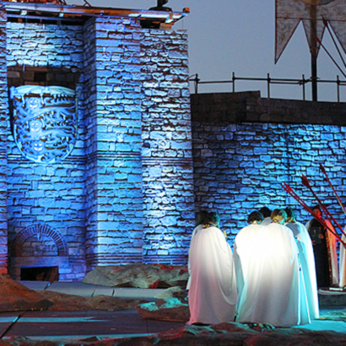 photo-3_700x700_crop_478b24840a