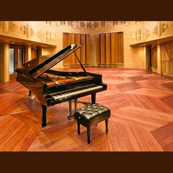 piano_700x700_crop_478b24840a