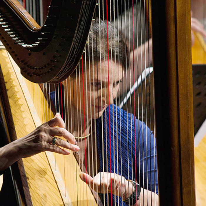 photo-14_700x700_crop_478b24840a