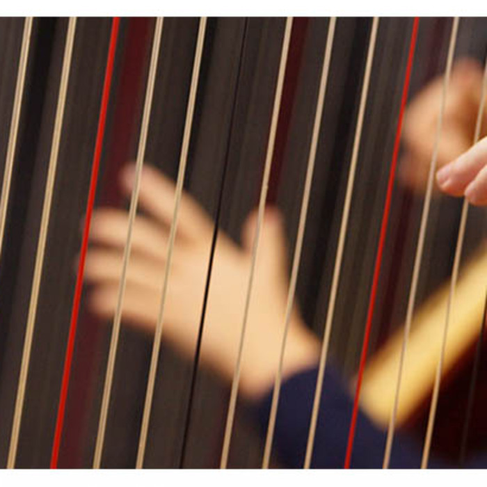 muzika_700x700_crop_478b24840a