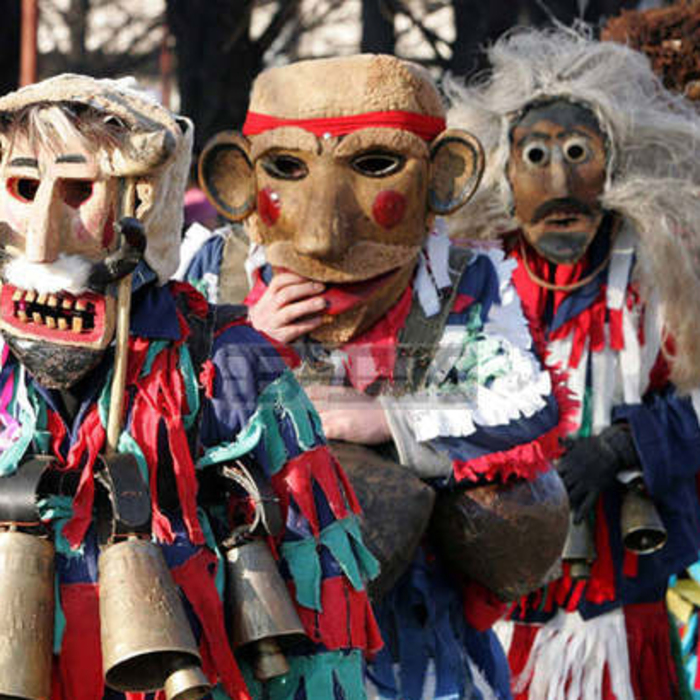 survapernik_700x700_crop_478b24840a