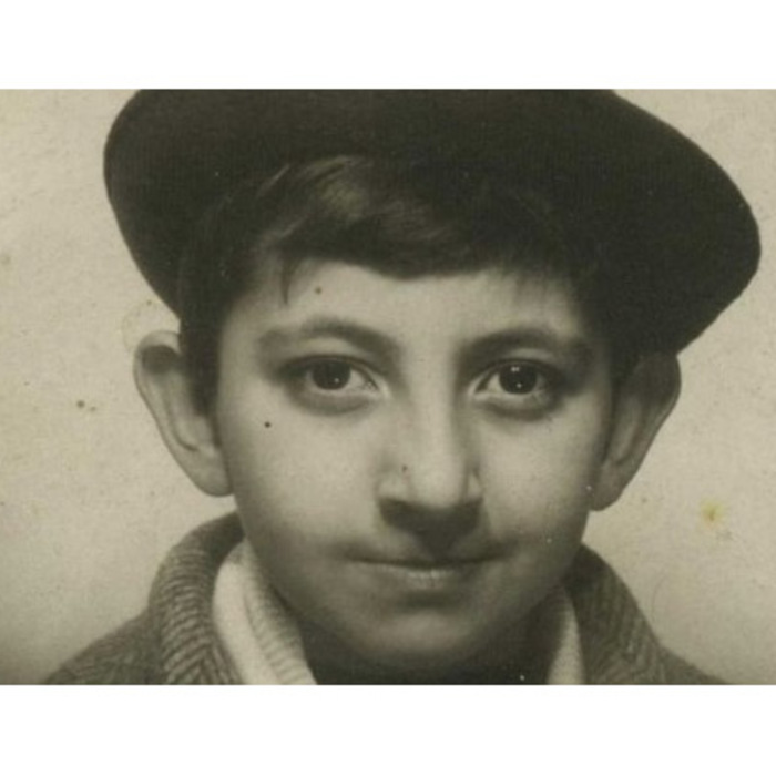 dzo_700x700_crop_478b24840a