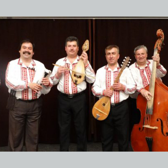 naroden-orkestur-graovska-mladost-1-660x330_700x700_crop_478b24840a