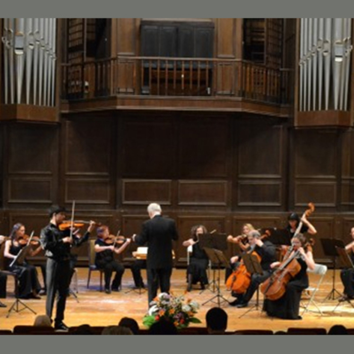 cigulkovo_700x700_crop_478b24840a