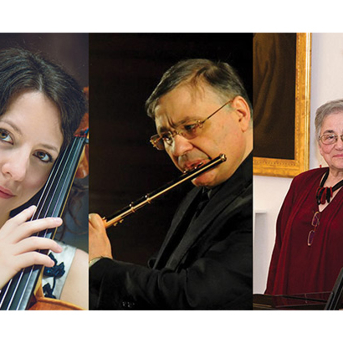 nino_700x700_crop_478b24840a