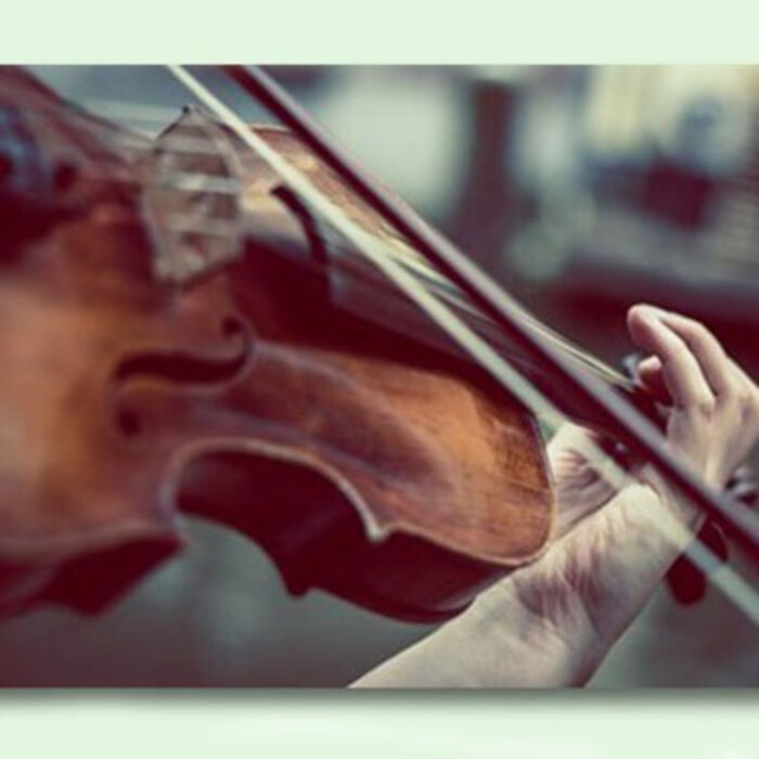 mladi-cigulari-s-koncert_700x700_crop_478b24840a