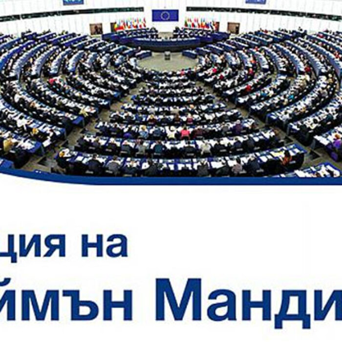 lekciq-saiman-mandi_700x700_crop_478b24840a