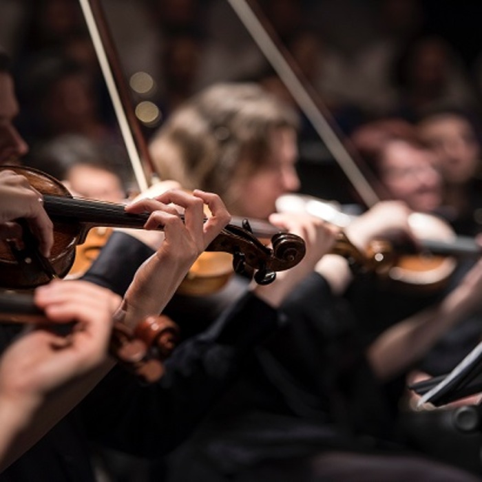 018_700x700_crop_478b24840a