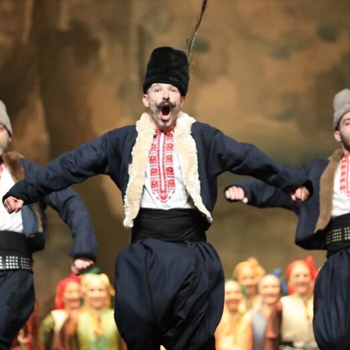 zx780-4522654_700x700_crop_478b24840a