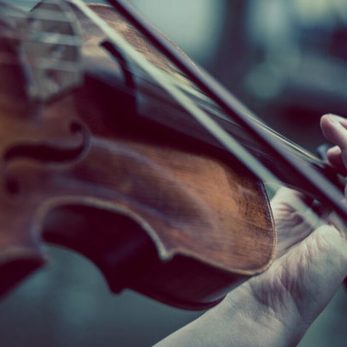 music-cigulka-pixabay_700x700_crop_478b24840a