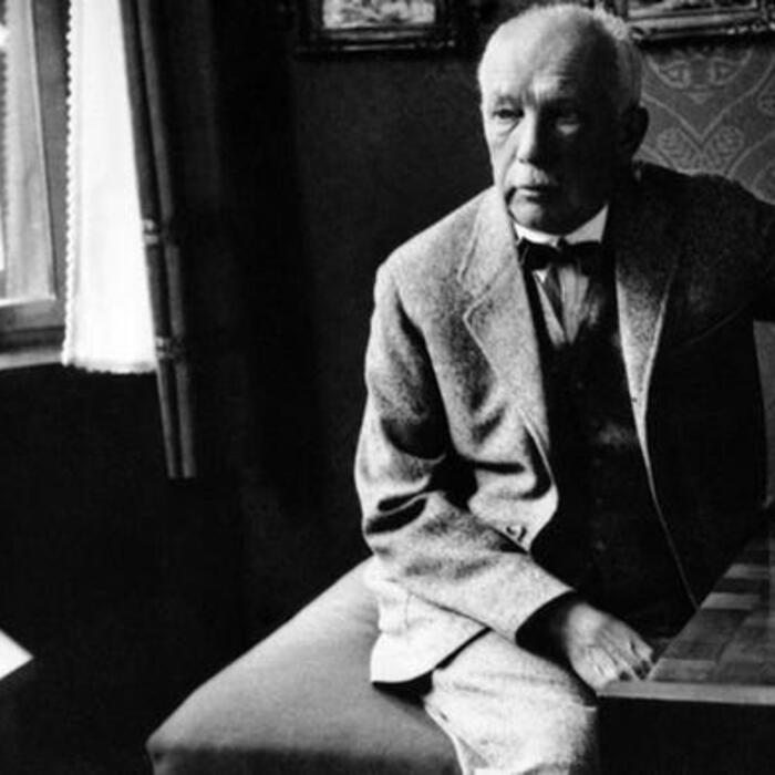 0-15841474-303-00_700x700_crop_478b24840a