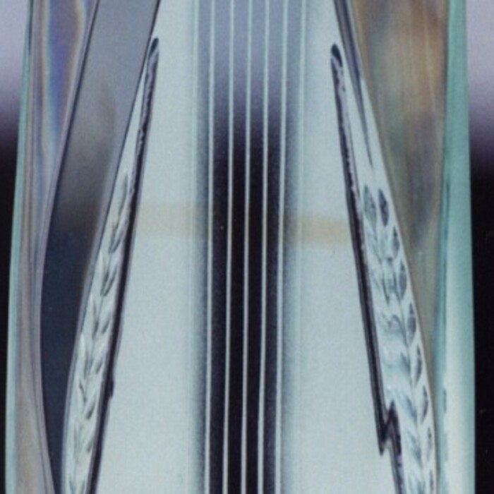 2110262319_700x700_crop_478b24840a