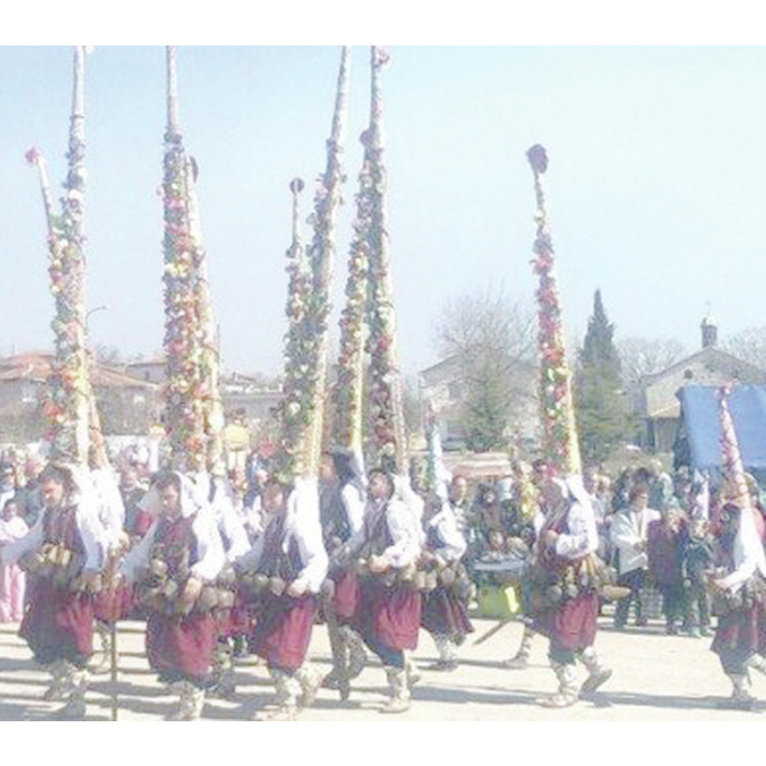 surva_700x700_crop_478b24840a