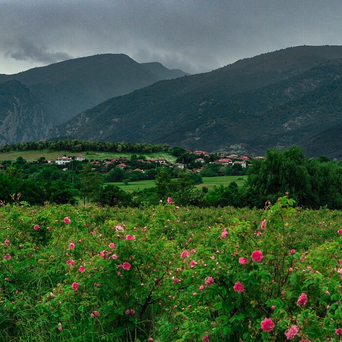 dolinata_700x700_crop_478b24840a