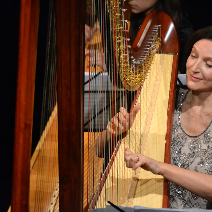 dsc-0041_700x700_crop_478b24840a