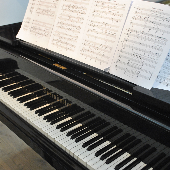 dsc0054_700x700_crop_478b24840a