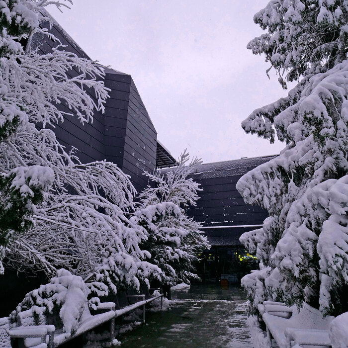 2455146_700x700_crop_478b24840a