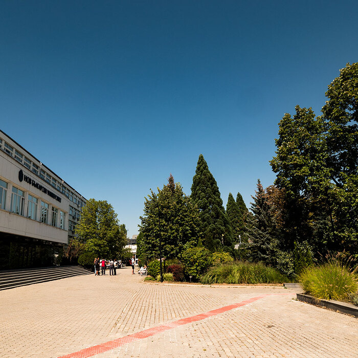 p3388654_700x700_crop_478b24840a