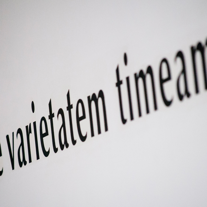 ne-varietatum-timeamus-2_700x700_crop_478b24840a