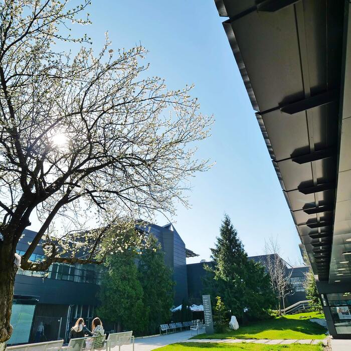 p1111318_700x700_crop_478b24840a