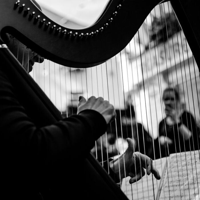 pexels-zally-11426994_700x700_crop_478b24840a