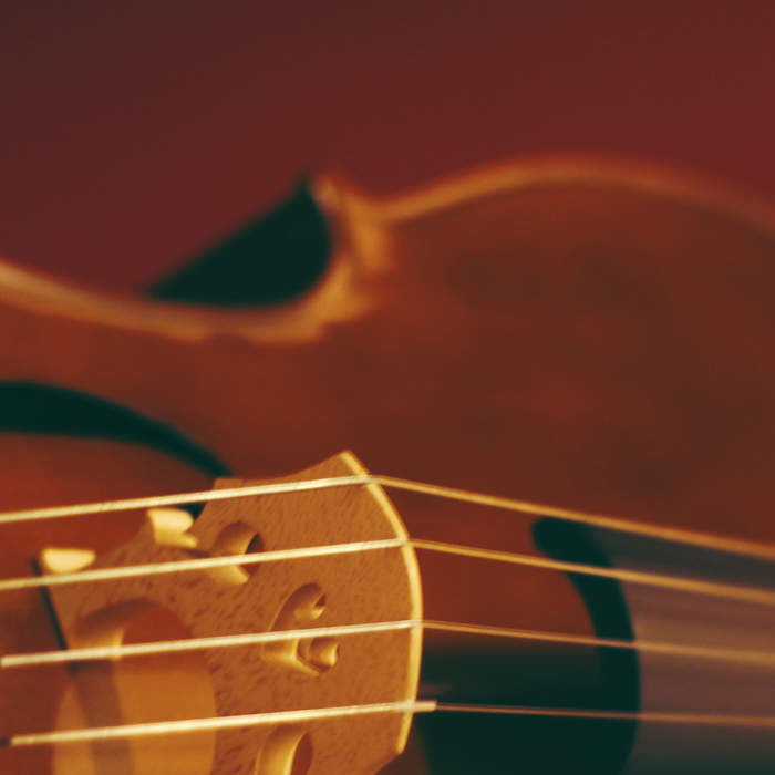 viola_700x700_crop_478b24840a