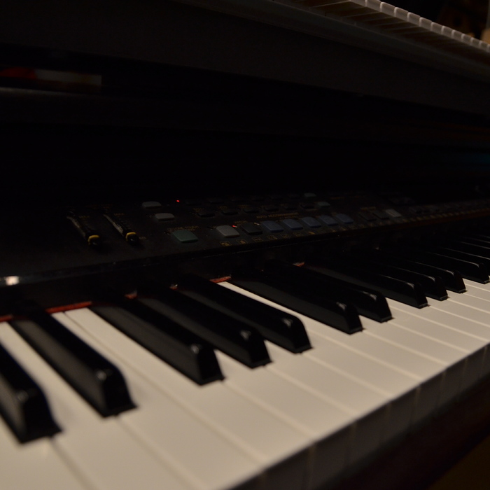 dsc-0132_700x700_crop_478b24840a