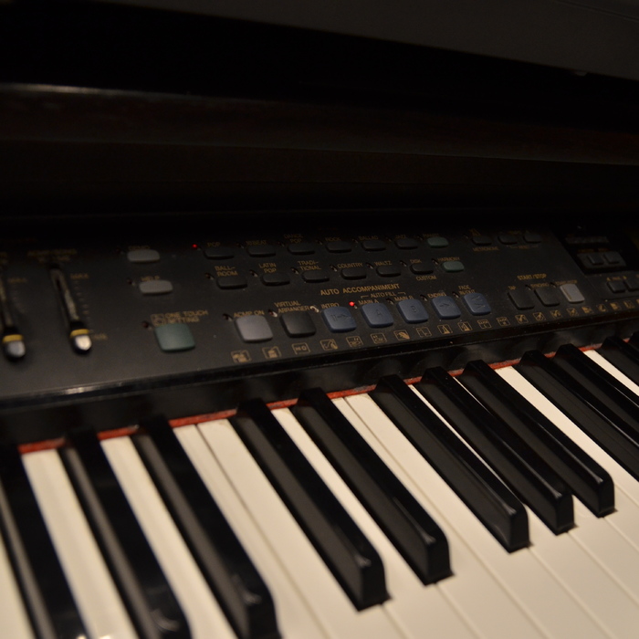 dsc-0134_700x700_crop_478b24840a